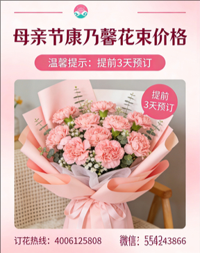 南充仪陇县花店母亲节康乃馨花束