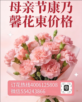 南充仪陇县花店母亲节康乃馨花束